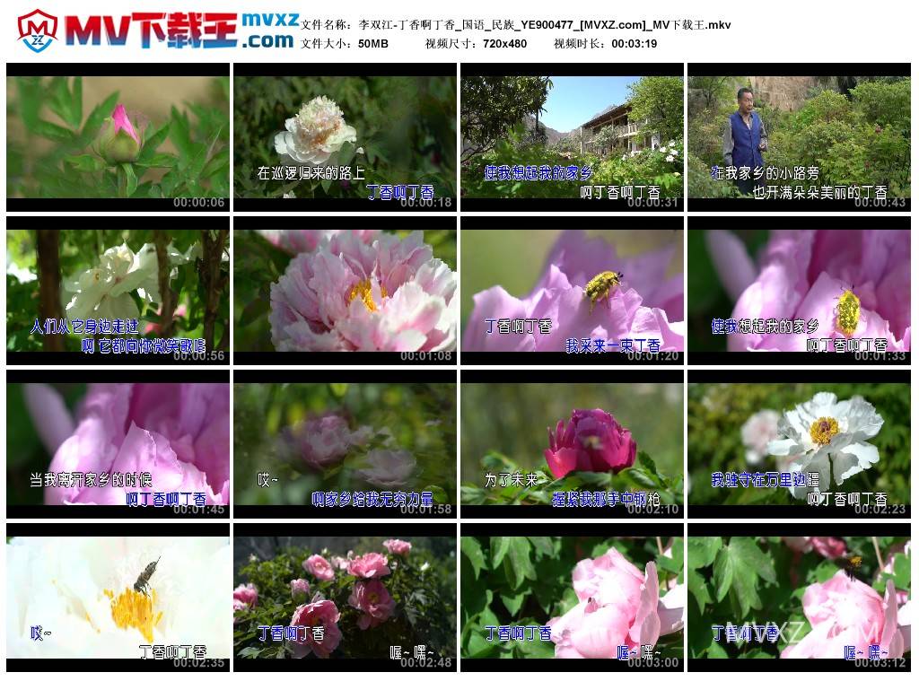 李双江-丁香啊丁香_国语_民族_YE900477